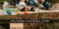 Tidy Bird Cleaning: 5 Star House Cleaning in Burlington, Oakville