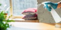 tidy bird cleaning co - best house cleaners in Burlington, Oakville - Halton