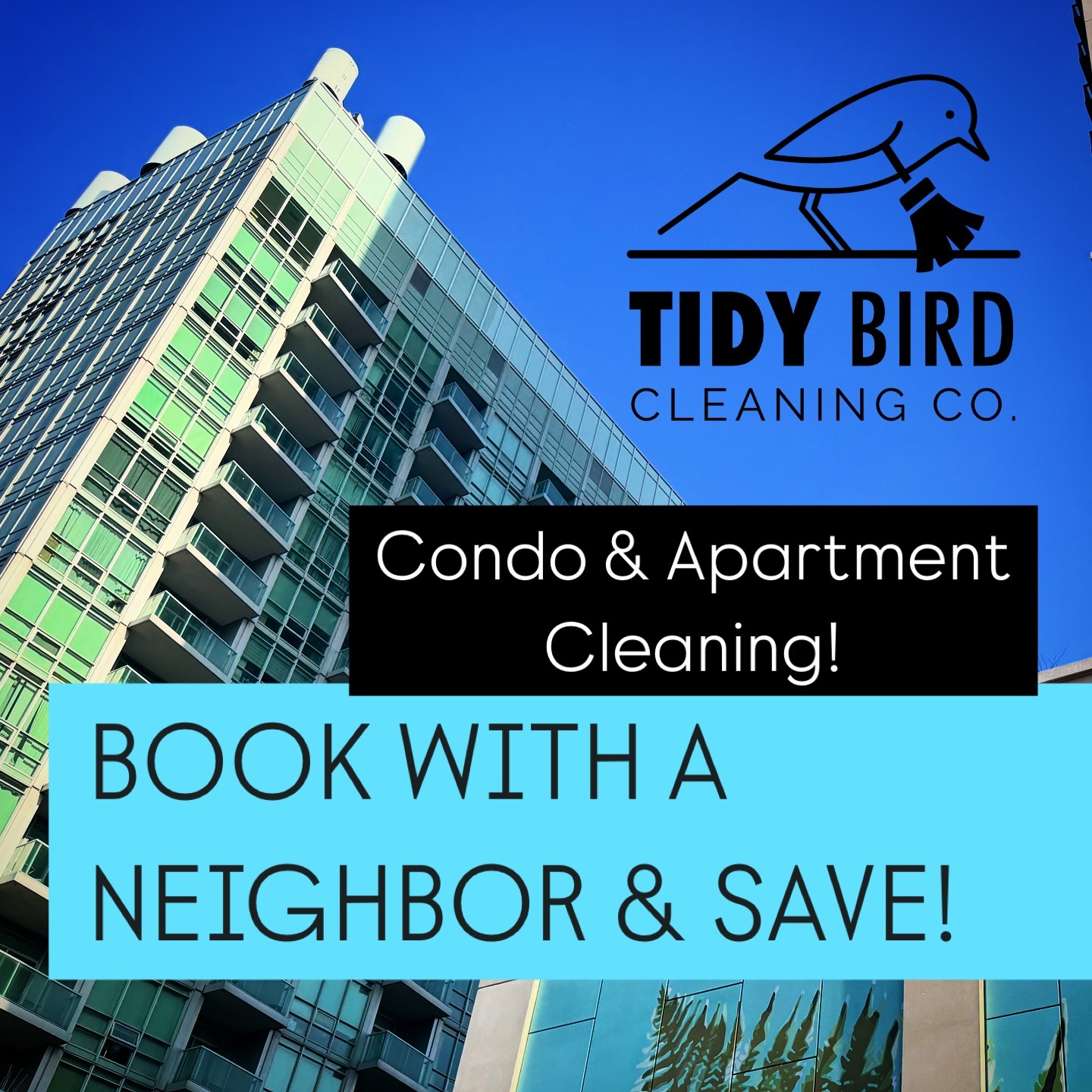 Tidy Bird Cleaning, Burlington House Cleaner, Oakville House Cleaner