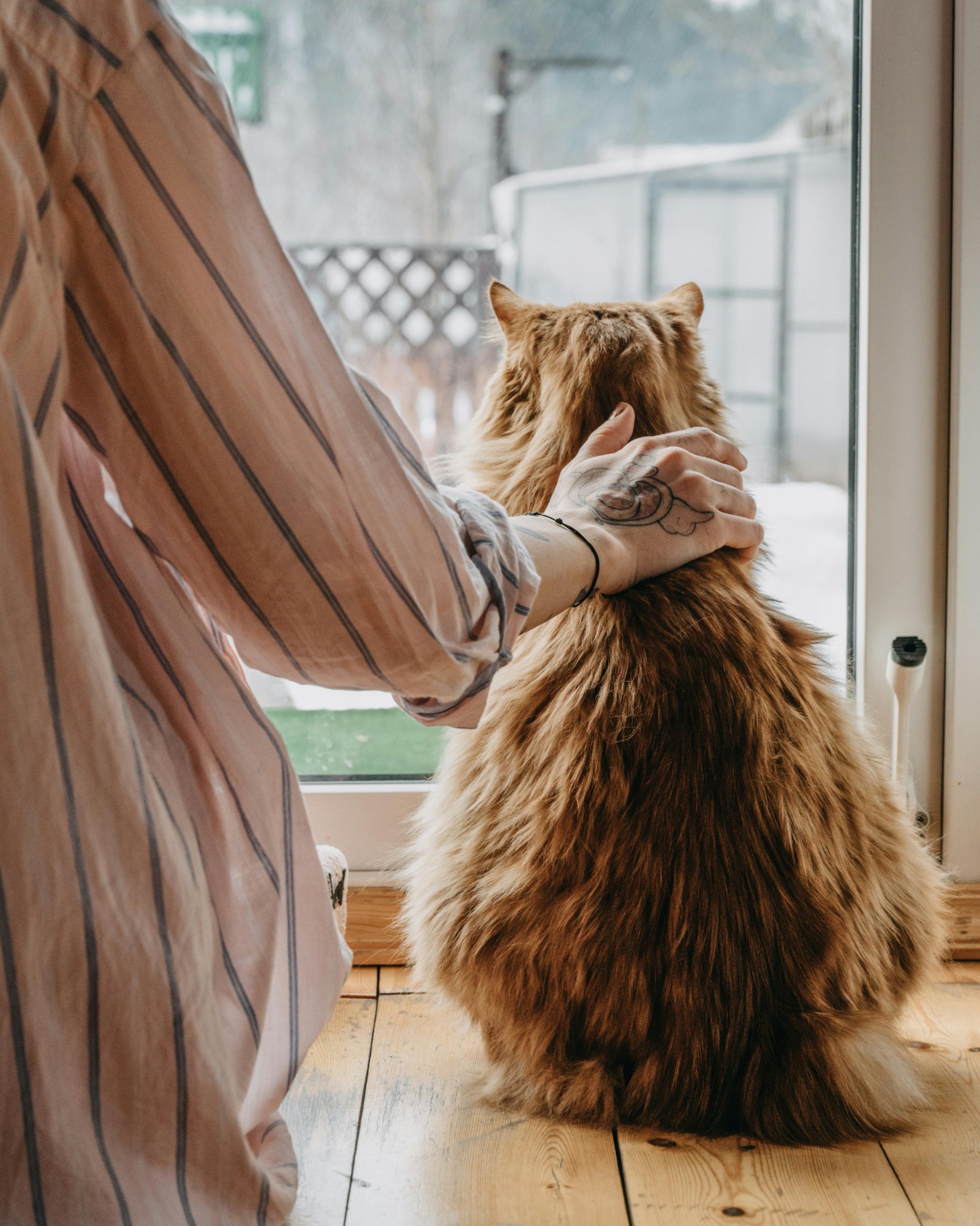 lady sitting with her orange cat by a window.