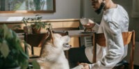 man and dog shaking paws in the dining room