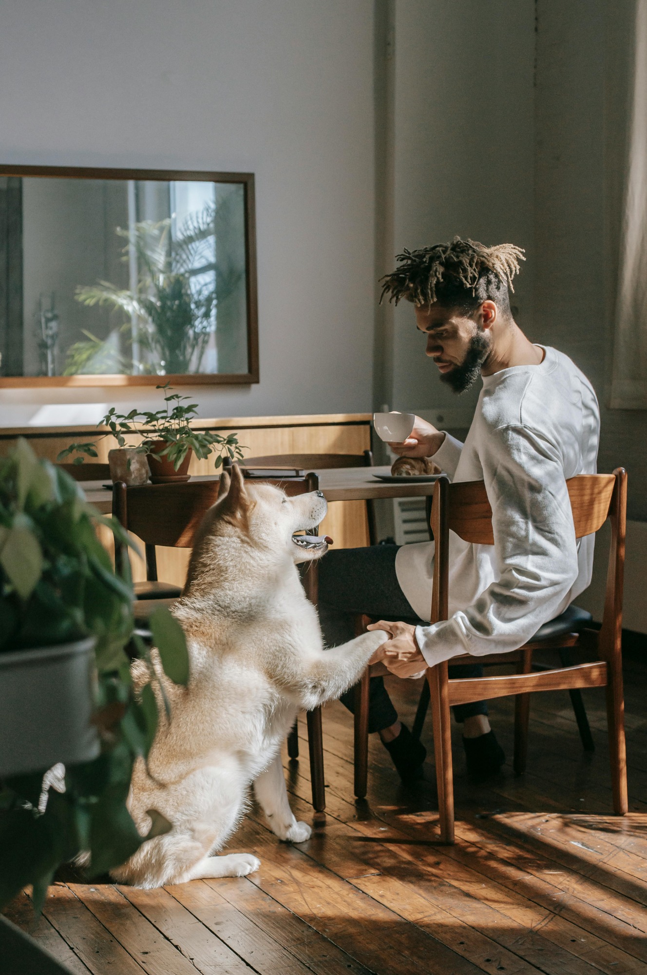 man and dog shaking paws in the dining room