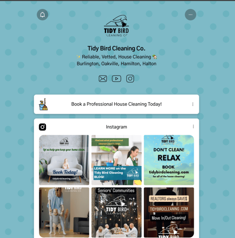 tidy bird cleaning linktree - find all of our links to burlington, ontario house cleaning, home cleaning