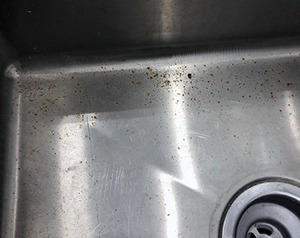 Stainless steel sink with rust stains from pots and pans left in sink.
