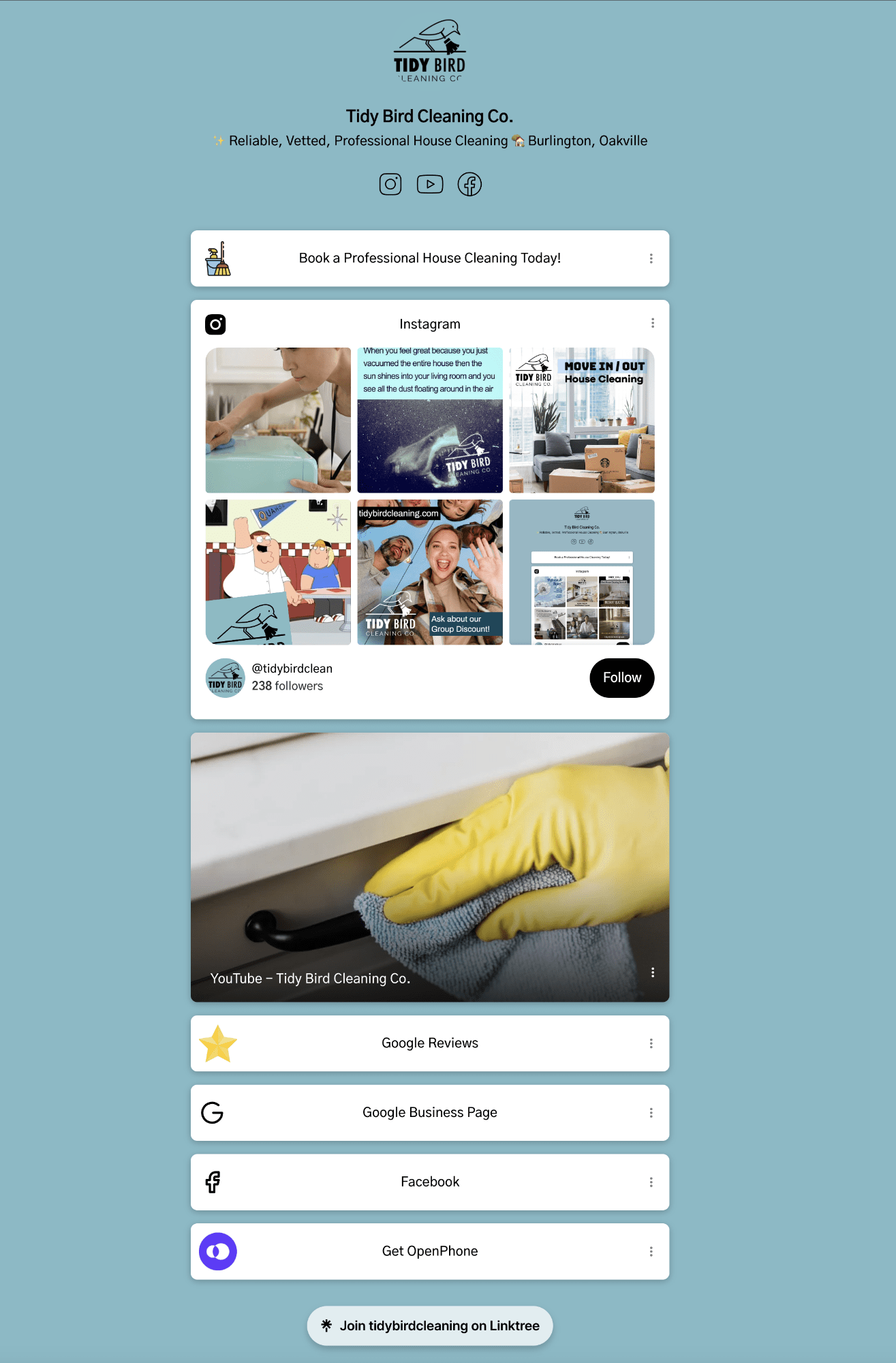Tidy Bird Cleaning Linktree page, connect with the best house cleaners in Burlington