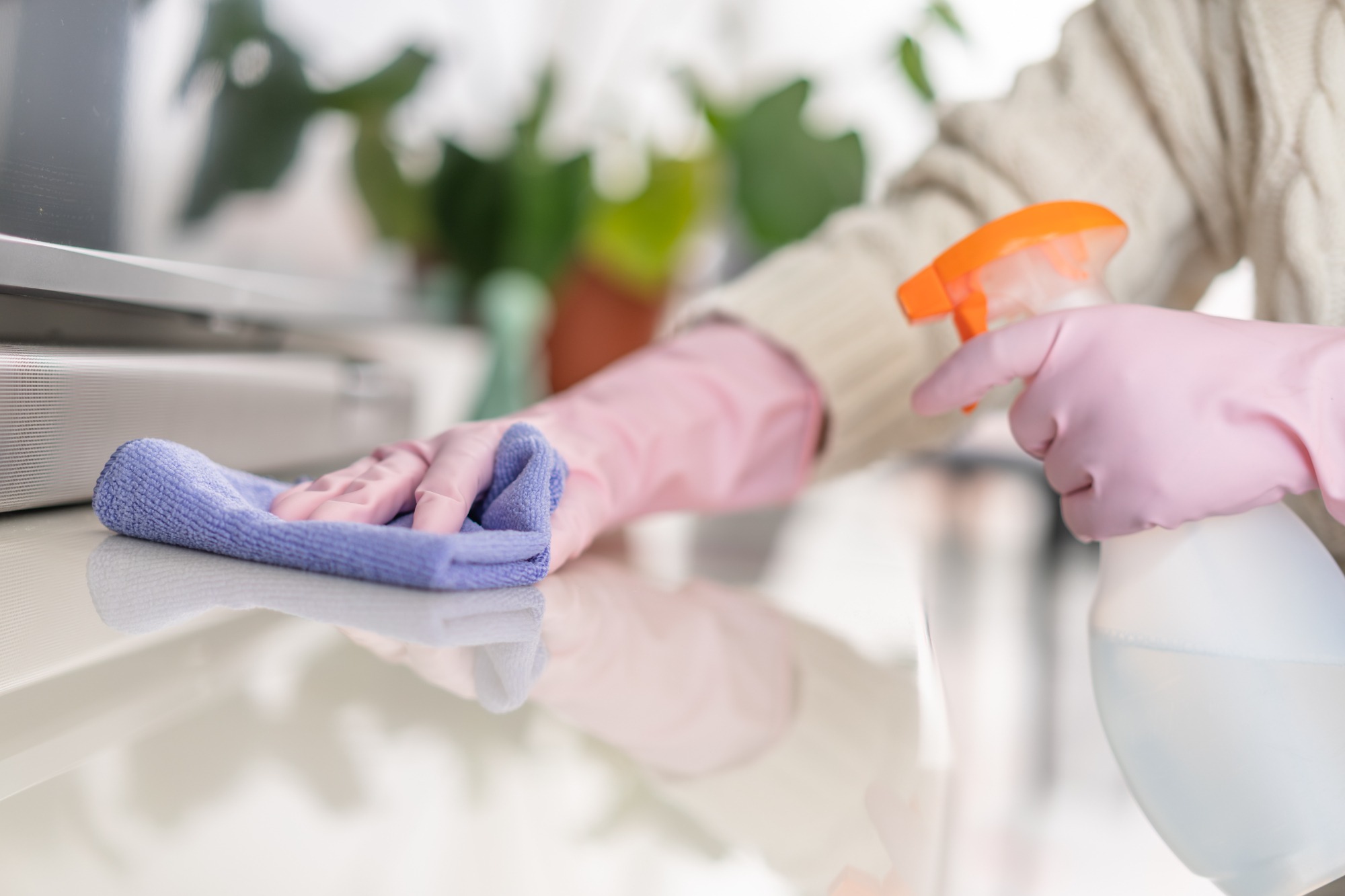 house cleaner