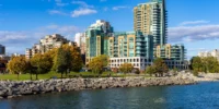 burlington, ontario, tidybirdcleaning, best house cleaners in burlington