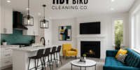 How much does a Cleaning Lady Cost - tidybirdcleaning