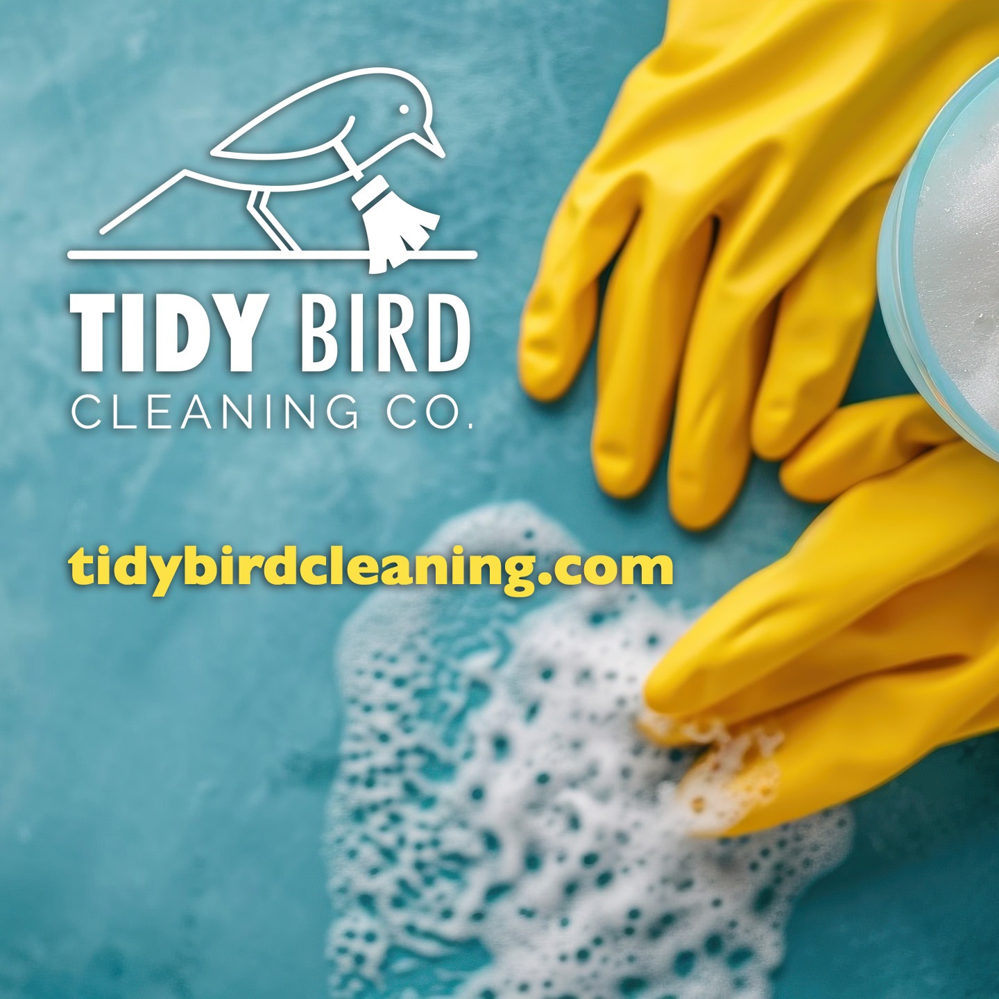 Deep Cleaning - tidybirdcleaning