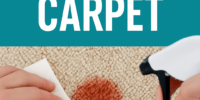 Clean Carpet Stains - tidybirdcleaning
