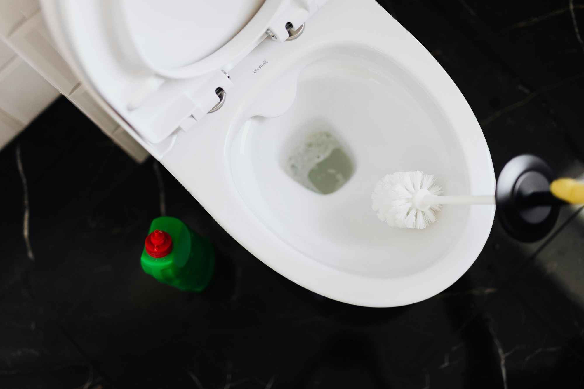clean toilet - tidy bird cleaning
