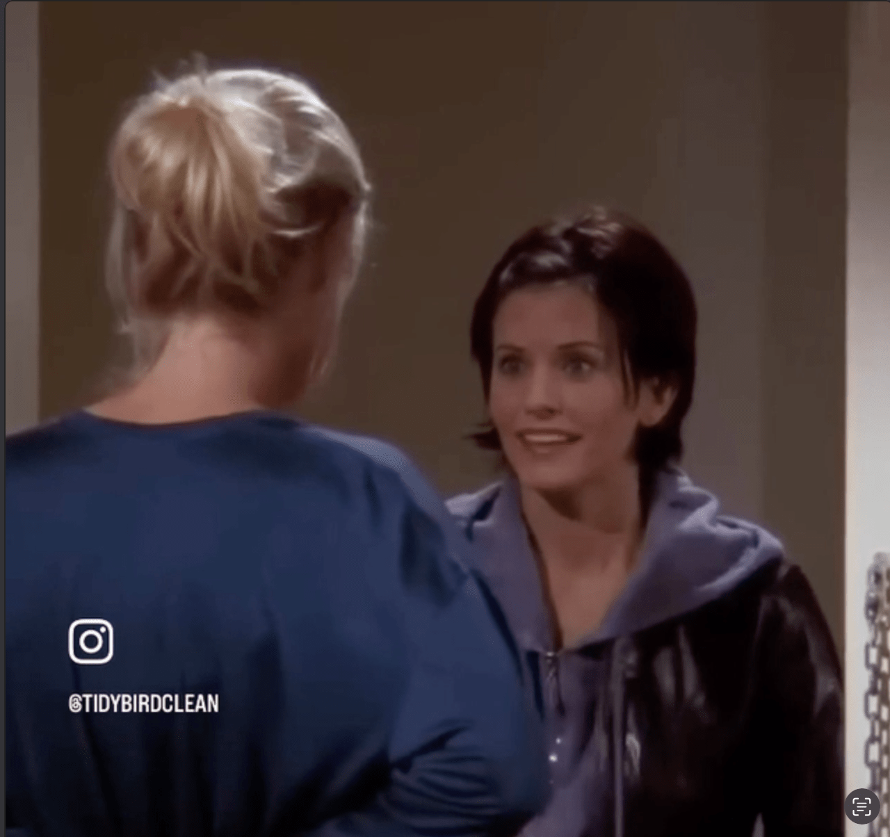 Monica Gellar-FRIENDS - Monica Clean tidybirdcleaning