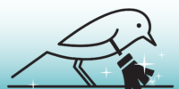 Burlington House Cleaners - tidybirdcleaning