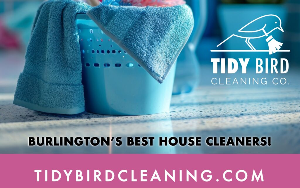 Best house cleaning services in Burlington, Ontario - tidybirdcleaning