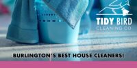 Best house cleaning services in Burlington, Ontario - tidybirdcleaning