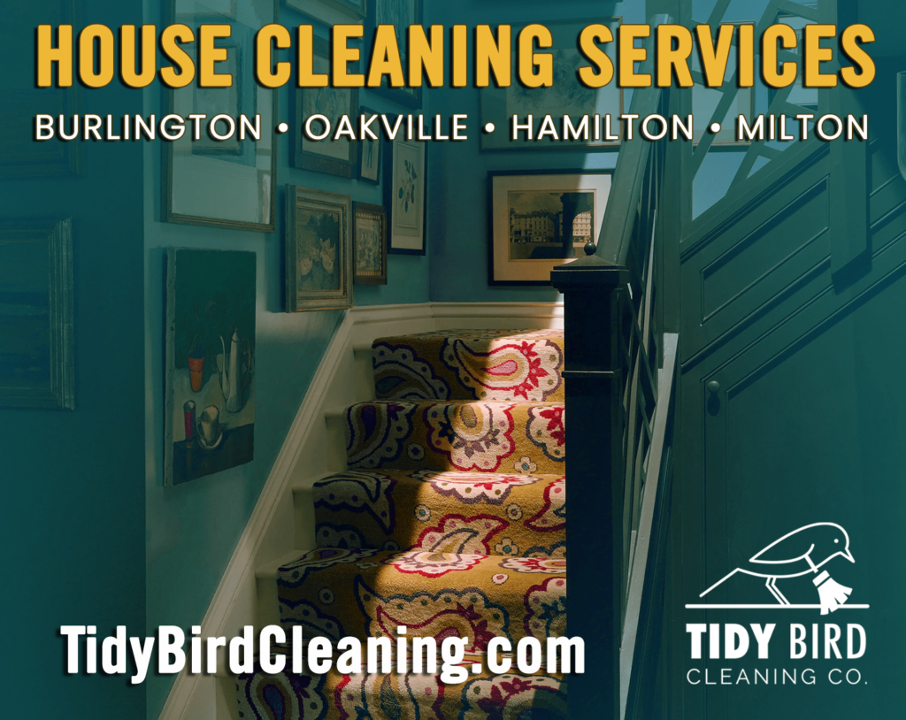 Best Reliable Cleaning Co Burlington - tidybirdcleaning