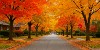 Fall is the perfect time for a deep clean before winter. Discover why recurring house cleaning with Tidy Bird Cleaning Co. in Burlington, Oakville, Hamilton, and Milton makes life easier, healthier, and stress-free.