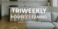 Tidy Bird Cleaning Co. offers the best house cleaning schedule in Burlington, Oakville, Hamilton, and Milton — tri-weekly cleanings and quarterly deep cleans to keep your home sparkling all year.